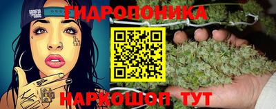 Альфа ПВП Ангарск