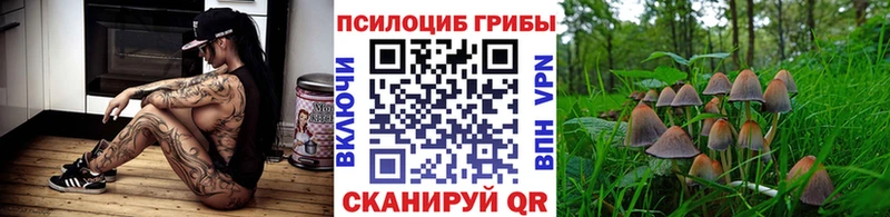 закладка  Владимир  Псилоцибиновые грибы ЛСД 