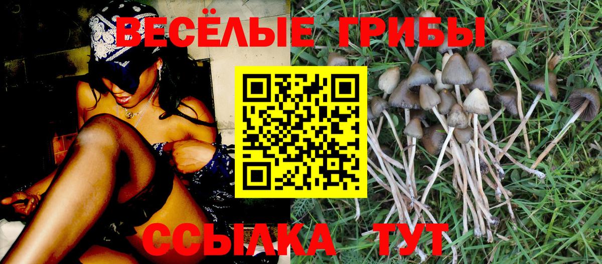 Псилоцибиновые грибы ЛСД Владимир