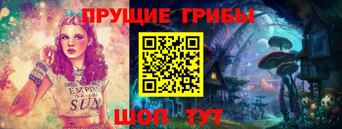 Владимир  Галлюциногенные грибы Psilocybine cubensis  Вход с VPN 